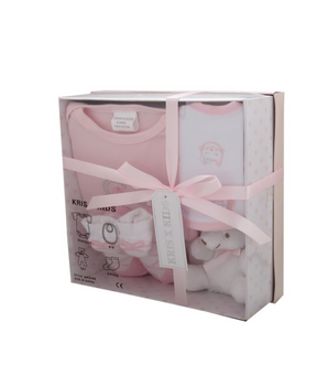 Pink 4 Piece Luxury Boxed Gift Set (0-3 Months)